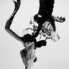 Picture of Swarovski "Pair of Eagles" Limited Edition 120th Anniversary