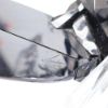 Picture of Swarovski "Pair of Eagles" Limited Edition 120th Anniversary