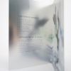 Picture of Swarovski "Pair of Eagles" Limited Edition 120th Anniversary