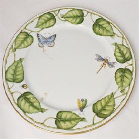 Picture for category Ivy
