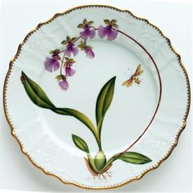 Picture for category Orchids