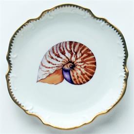 Picture for category Seascape, Shell