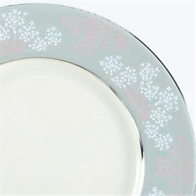 Picture for category Lace