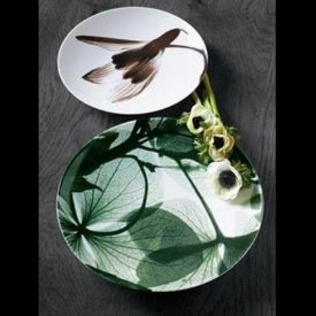 Picture for pattern Contre Jour