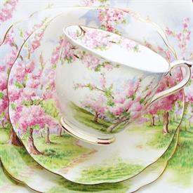 Picture for category Blossom Time