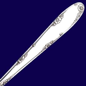 Picture for category Madeira