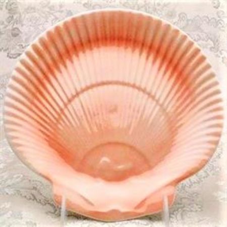 Picture for pattern Nautilus